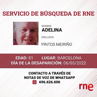 Servicio de búsqueda