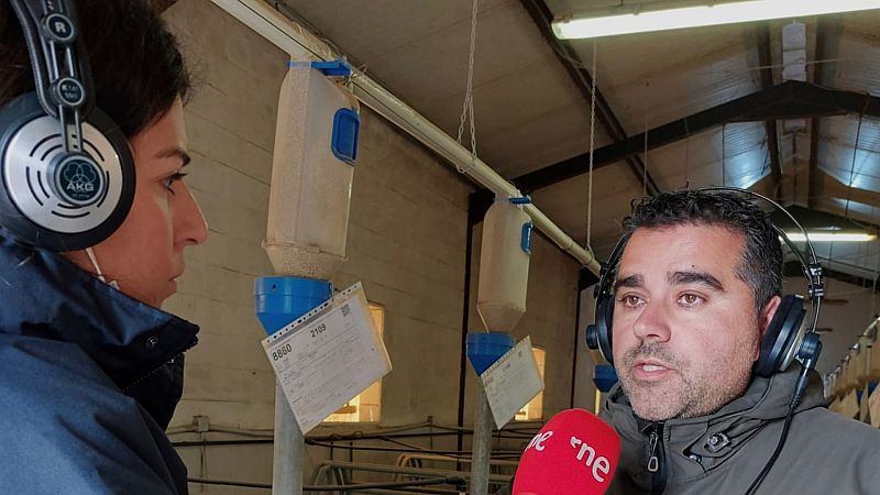 Más cerca - Falta pienso, los animales enferman y el límite es el lunes - Escuchar ahora