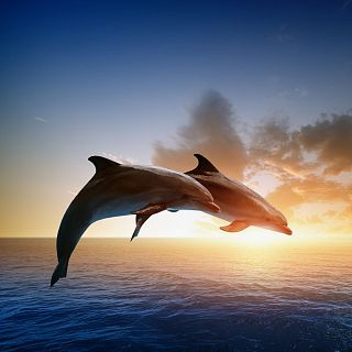 Las mañanas de RNE con Íñigo Alfonso