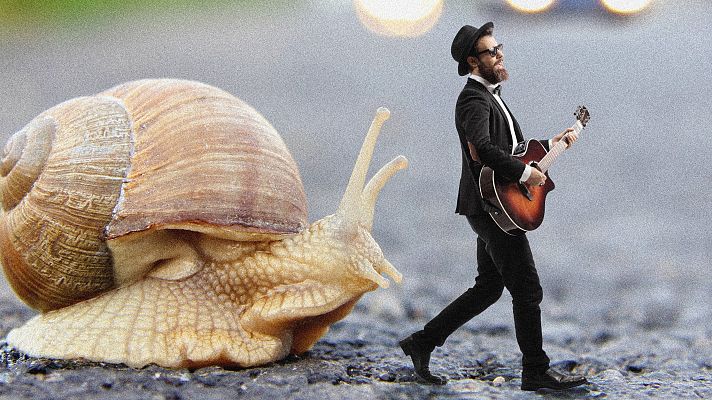 Reportaje: Música en Segura 2022 - escuchar ahora