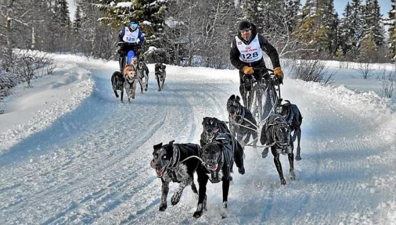 No solo fútbol - Iker Ozkoidi, doble campeón mundial de mushing - 02/04/22 - ESCUCHAR AHORA