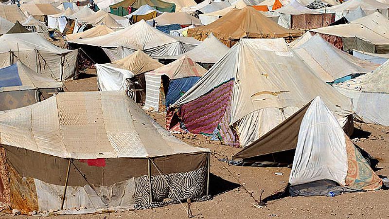 Más cerca - Escenario incierto para los refugiados que viven en Tinduf - Escuchar ahora 