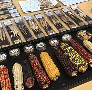 Marca España - Marca España - Esfuerzo para conservar la biodiversidad agrícola española - 12/04/22 - escuchar ahora