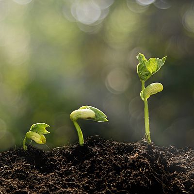 Músicas con alma - Dolor, aceptación y esperanza - 15/04/22 - escuchar ahora