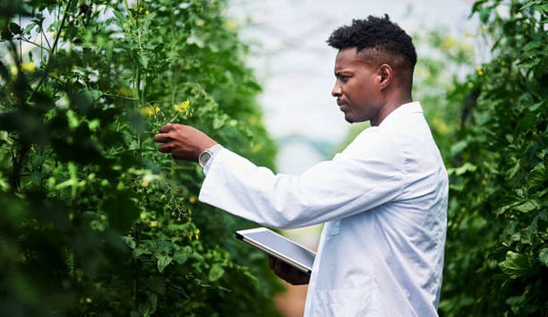 Más cerca - Retos científicos para una nueva revolución agraria - Escuchar ahora