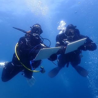 Españoles en la mar