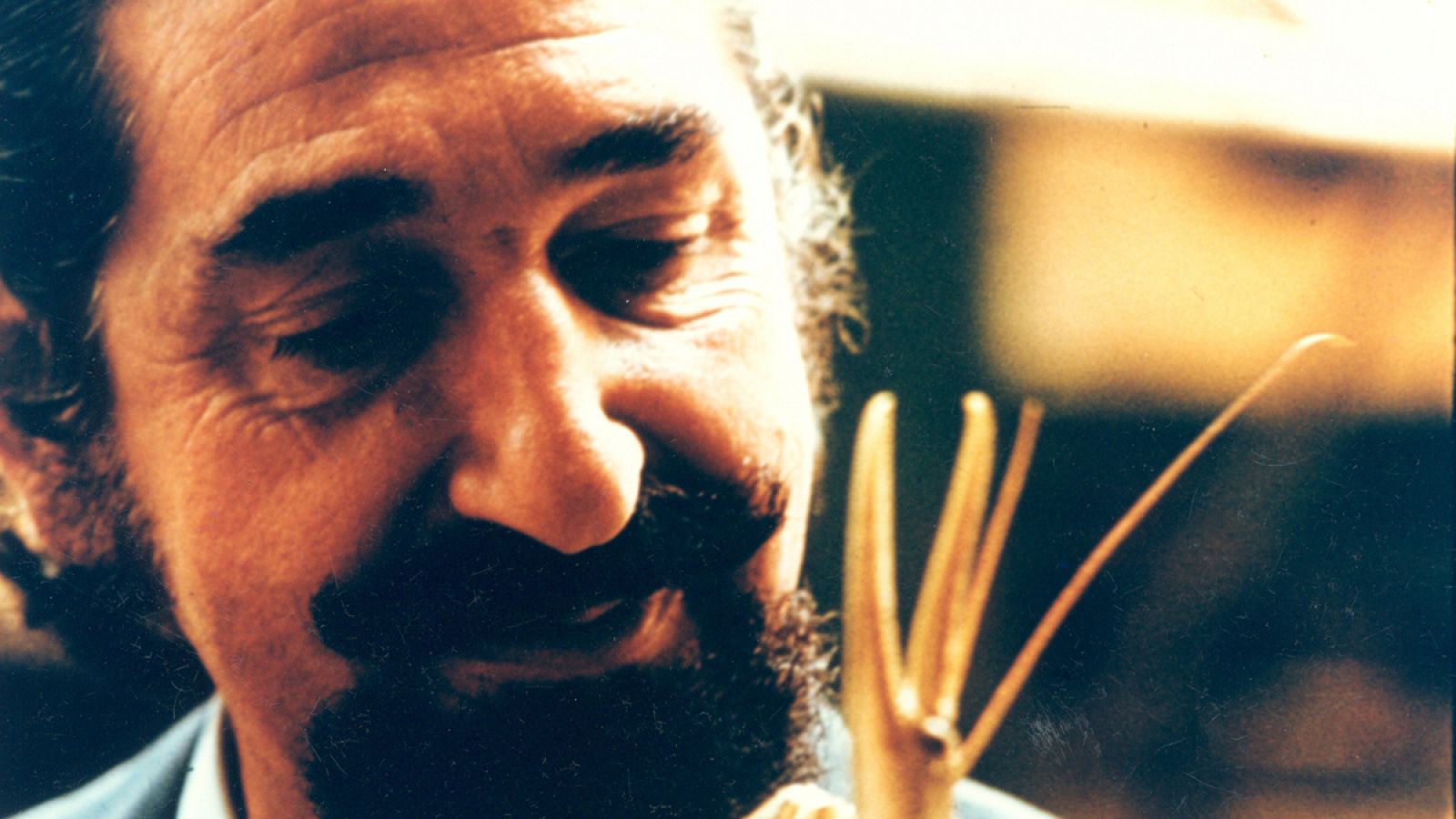 La bisagra - Jaime de Mora y Aragón