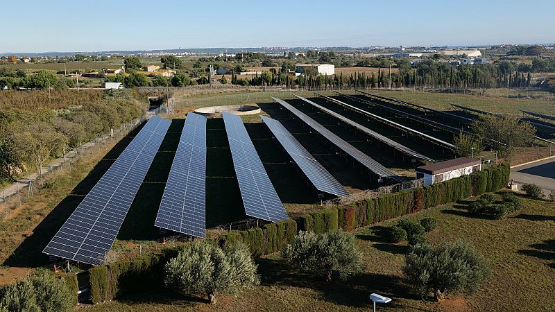 Las Mañanas de RNE con Íñigo Alfonso - IDAE: "Las energías renovables permiten liberarnos de vaivenes en los precios" - Escuchar ahora