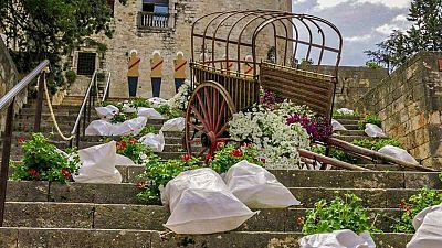 L'explosió de colors i alegria arriba a Girona amb Temps de Flors