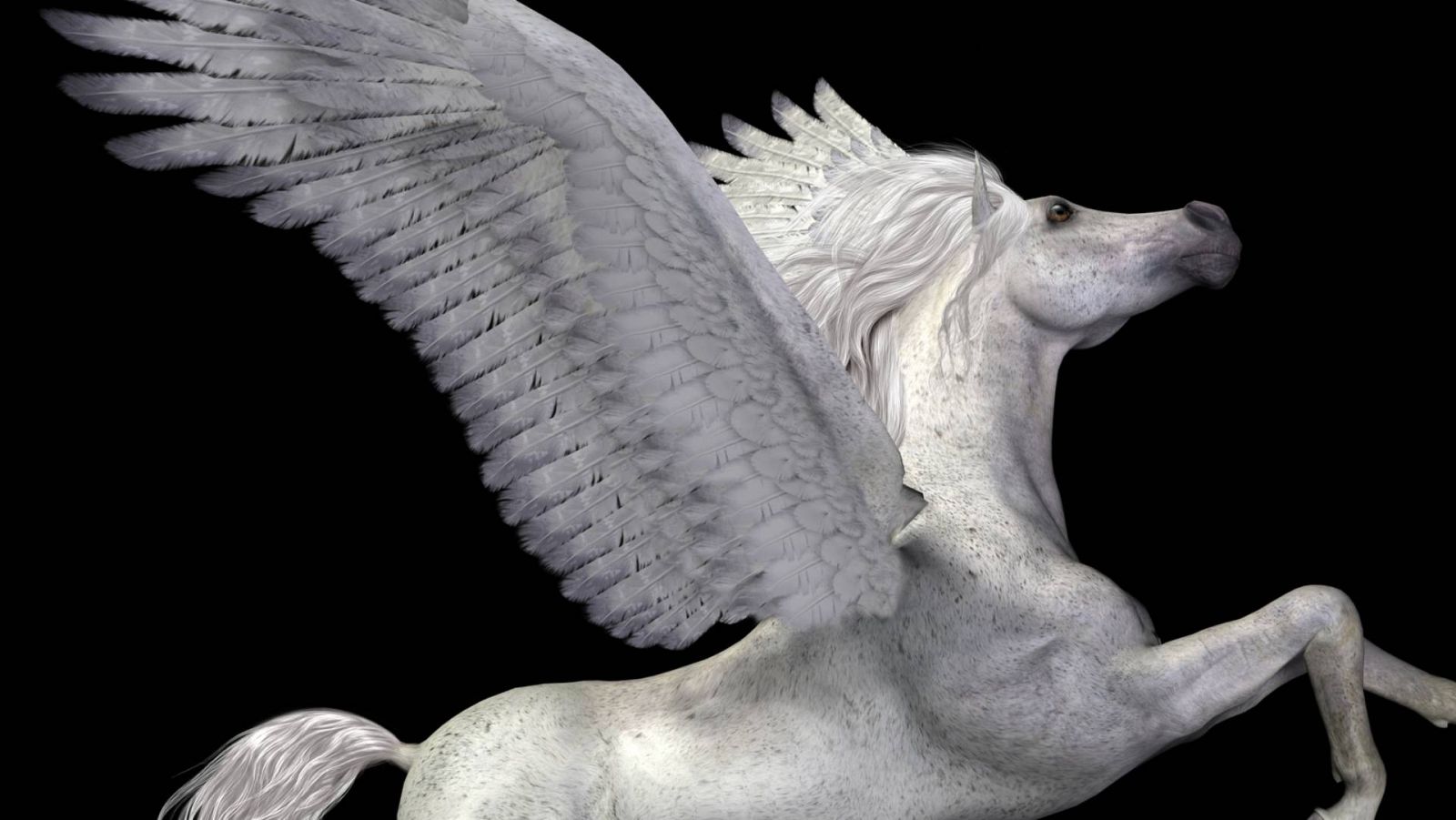 Las mañanas de RNE con Pepa Fernández - Verba Volant: Pegasus - Escuchar ahora