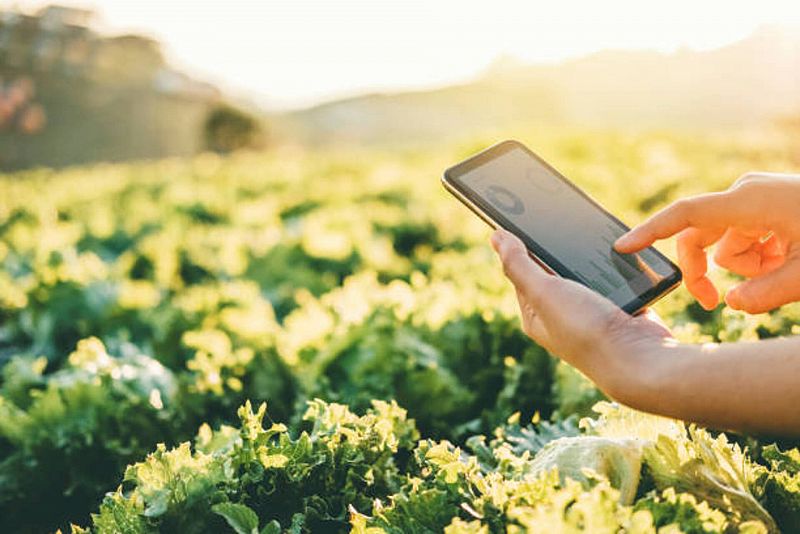 Más cerca - La digitalización en el sector agroalimentario - Escuchar ahora