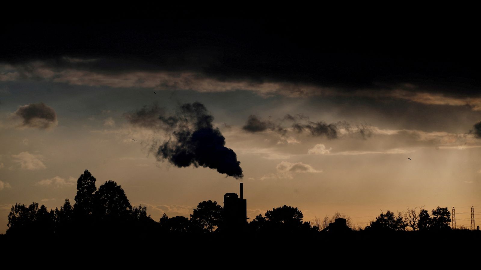 Cinco Continentes - "Sonda", periodismo visual sobre la crisis climática - Escuchar ahora