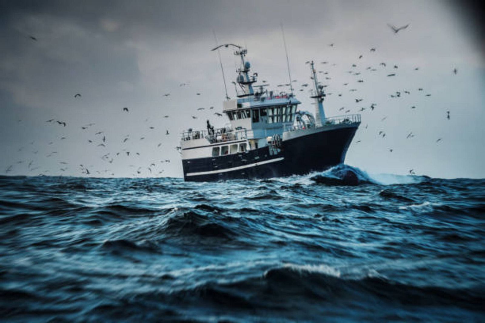 Más cerca - Los retos del sector pesquero europeo - Escuchar ahora