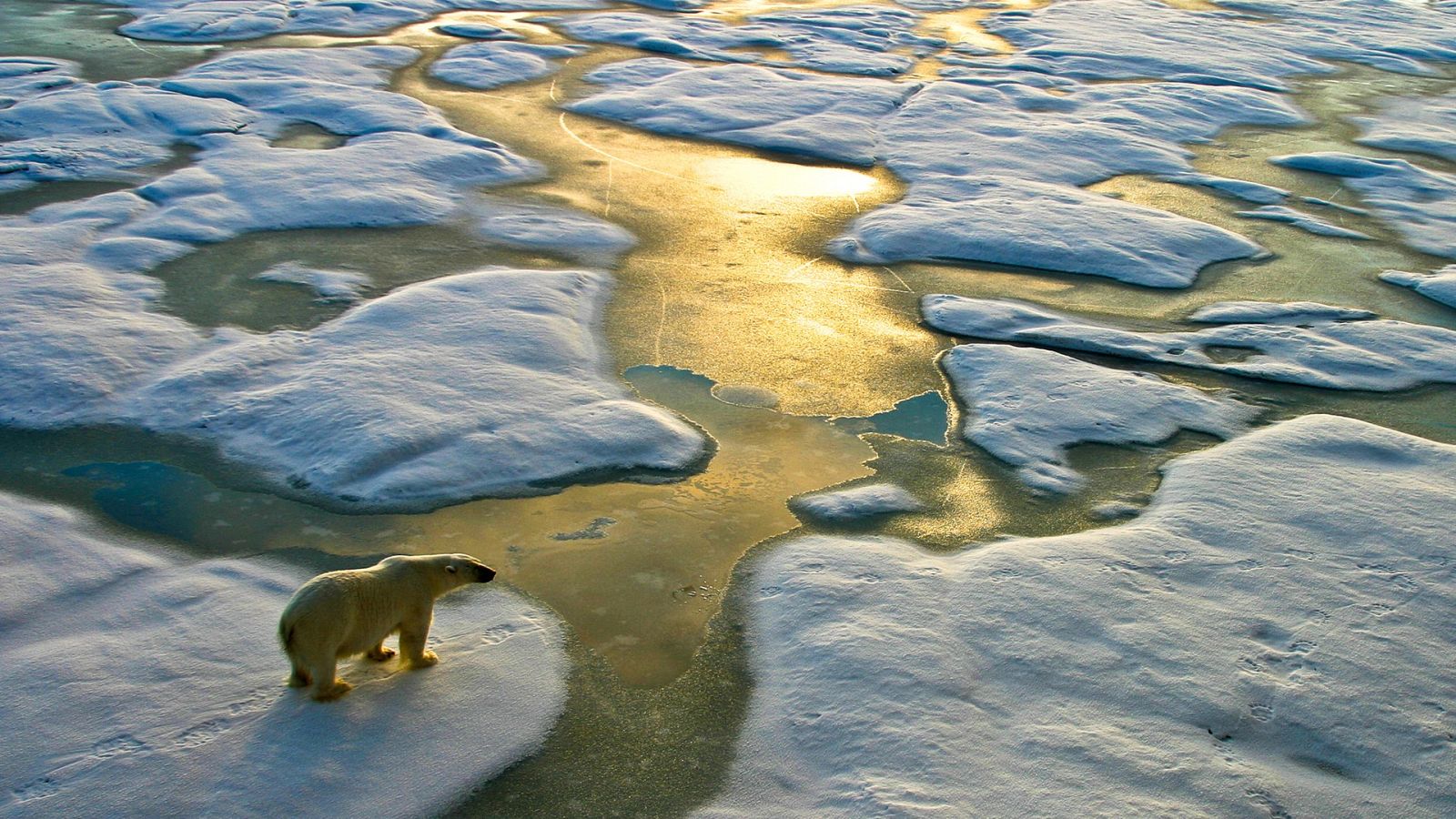Más cerca - "Deberíamos descarbonizar el mundo con urgencia" - Escuchar ahora