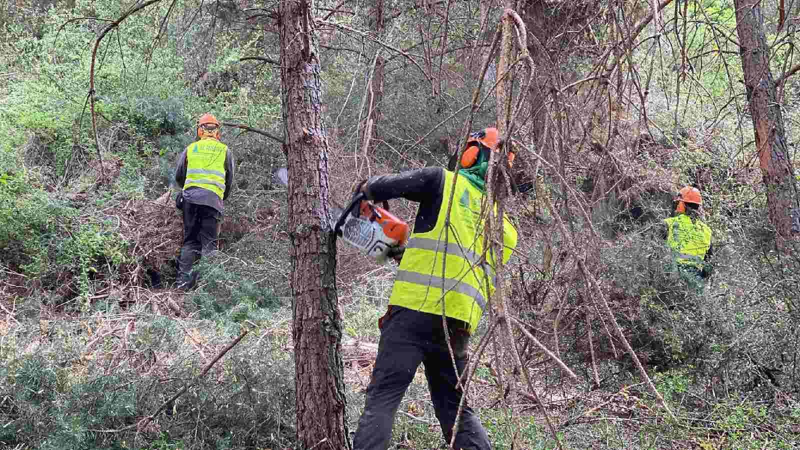 Crida a extremar les precaucions pel risc d'incendis