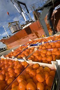 Comunidad Valenciana Informativos - 26/05/22 - Escoltar ara