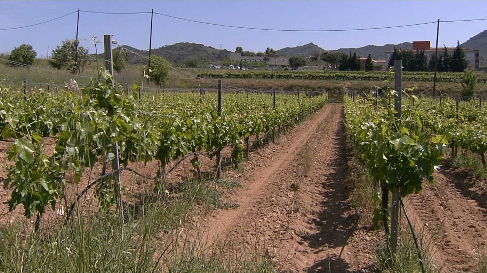 El món rural alça la veu