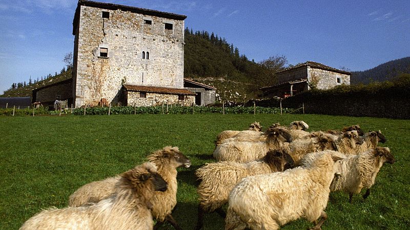 14 horas fin de semana - Un Erasmus rural: se puede aprender y disfrutar en la España profunda - Escuchar ahora