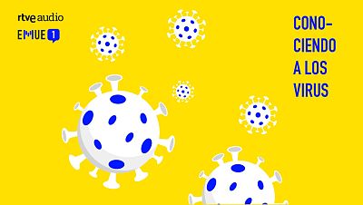 Esto merece una explicación - Conociendo a los virus: cuándo y por qué deben preocuparnos - Escuchar ahora 