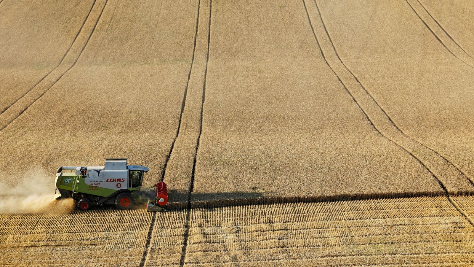 Las Mañanas de RNE - Alcázar, ingeniero agrónomo: "Si no hay seguridad alimentaria no podrá haber paz mundial" - Escuchar ahora