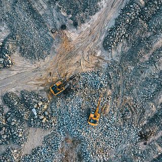 El gallo que no cesa