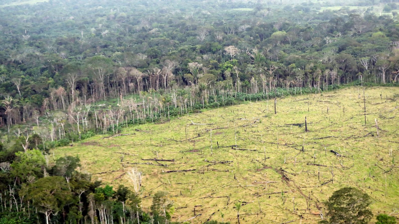 14 horas fin de semana - Día del Medio Ambiente: Sin salud medioambiental no hay salud humana - Escuchar ahora