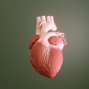 A su salud - A su salud - Impacto del medio ambiente en la salud cardiovascular - 08/06/22 - Escuchar ahora