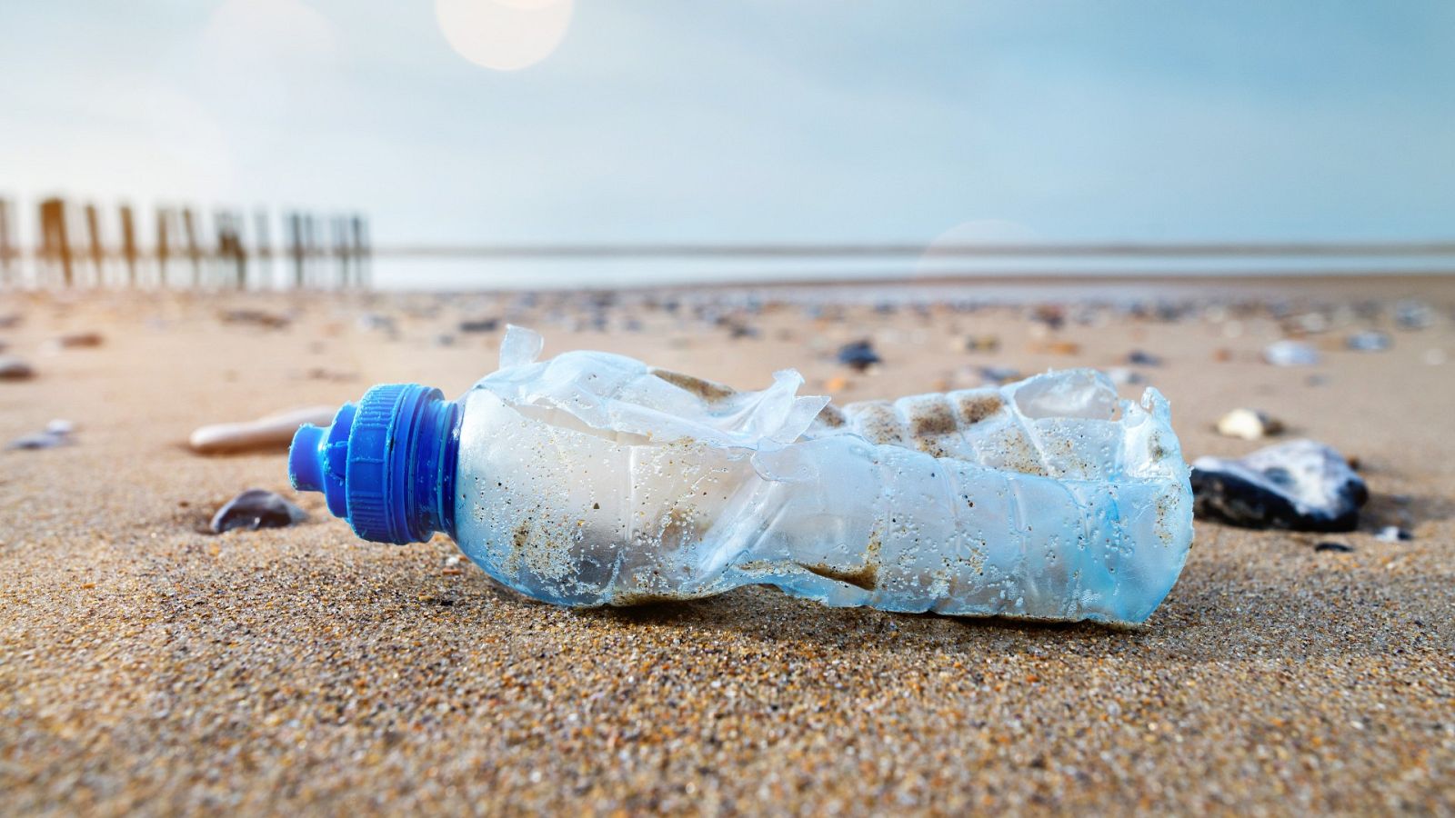 Más cerca - Playas castigadas con la bandera negra - Escuchar ahora 