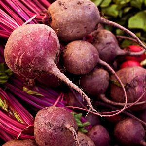 Mundo rural - Mundo rural - Gripe aviar - 15/06/22  - Escuchar ahora