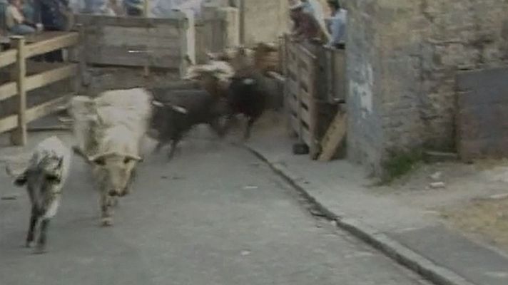 Joyas del Archivo Sonoro - San Fermín 1984, 10 de julio: \"Vuelve a cebarse con él\" - Escuchar ahora