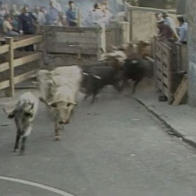 Joyas del Archivo Sonoro - San Fermín 1984, 10 de julio: \"Vuelve a cebarse con él\" - Escuchar ahora