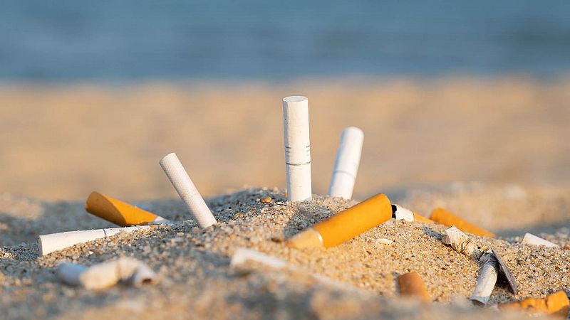 Punto de enlace - La prohibición de fumar en muchas playas de España - 16/06/22 - escuchar ahora
