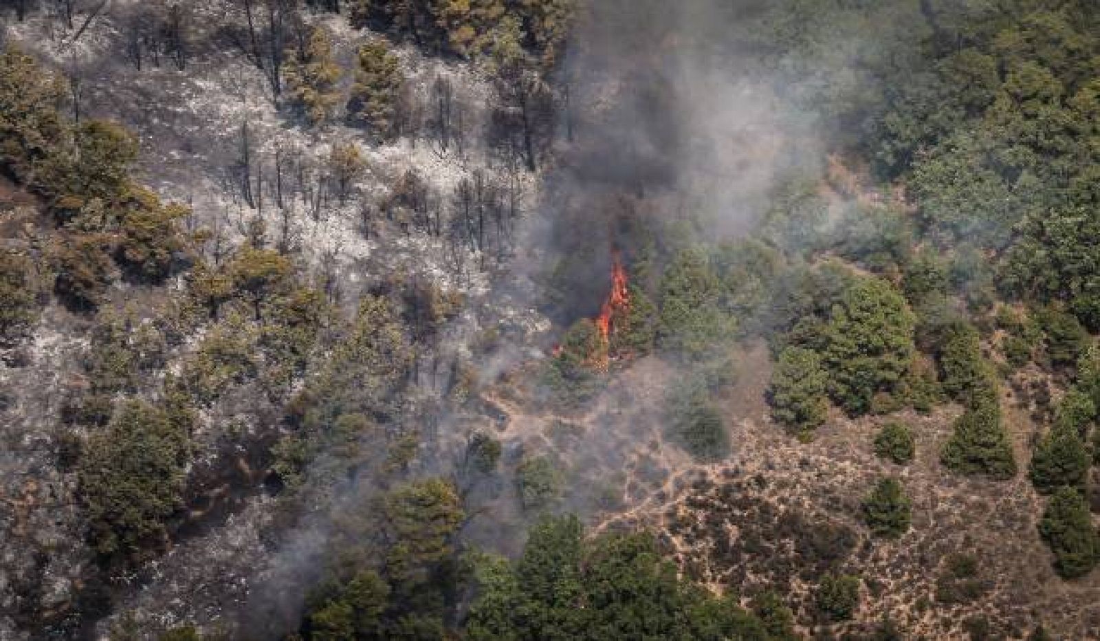 Els experts reclamen una gestió forestal eficient per fer front als incendis