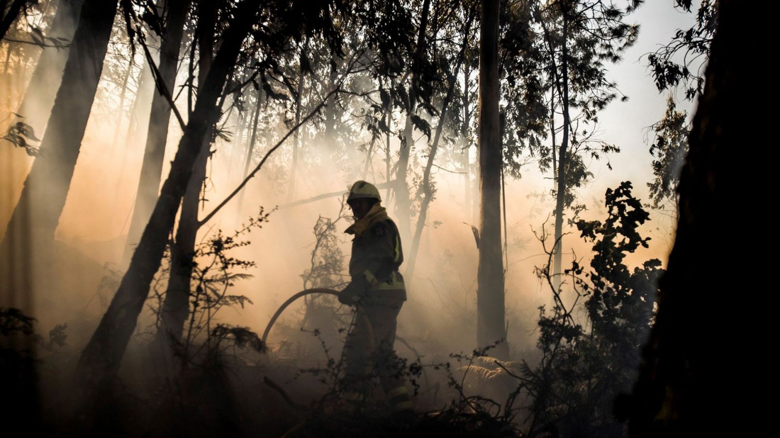 24 horas fin de semana - ¿Cuáles son las causas de incendio más comunes? - Escuchar ahora