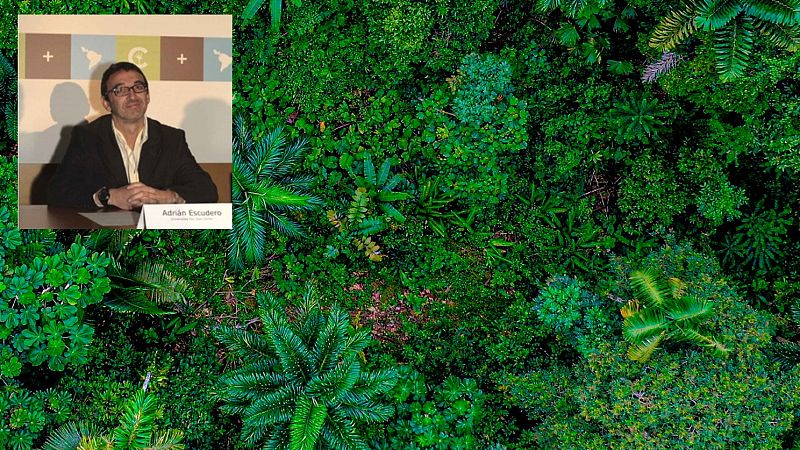 El planeta está enfermo y requiere atención con urgencia - Escuchar ahora 