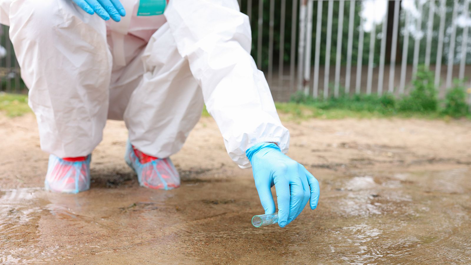 14 horas - Precintada una finca de Toledo tras detectarse un caso de cólera - Escuchar ahora