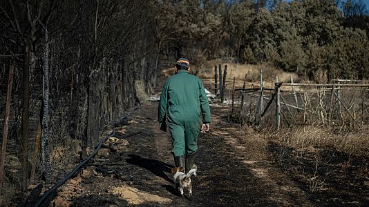 Por tres razones - Por tres razones - Incendios forestales en Zamora y Navarra, ¿y ahora qué? - 24/06/22 - escuchar ahora