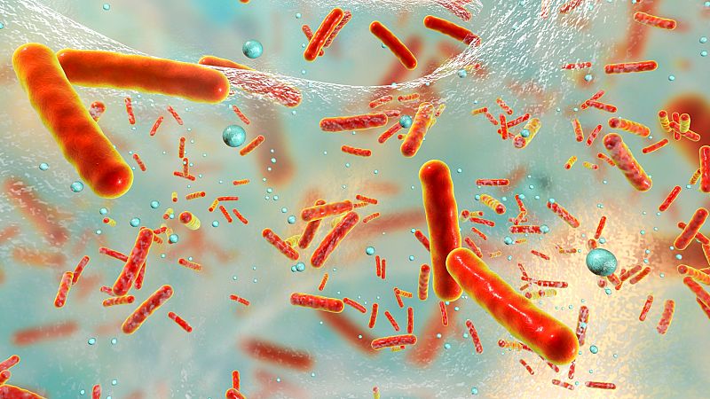 Gente Despierta - Por si te lo habías preguntado: ¿Molan las bacterias? - Escuchar ahora
