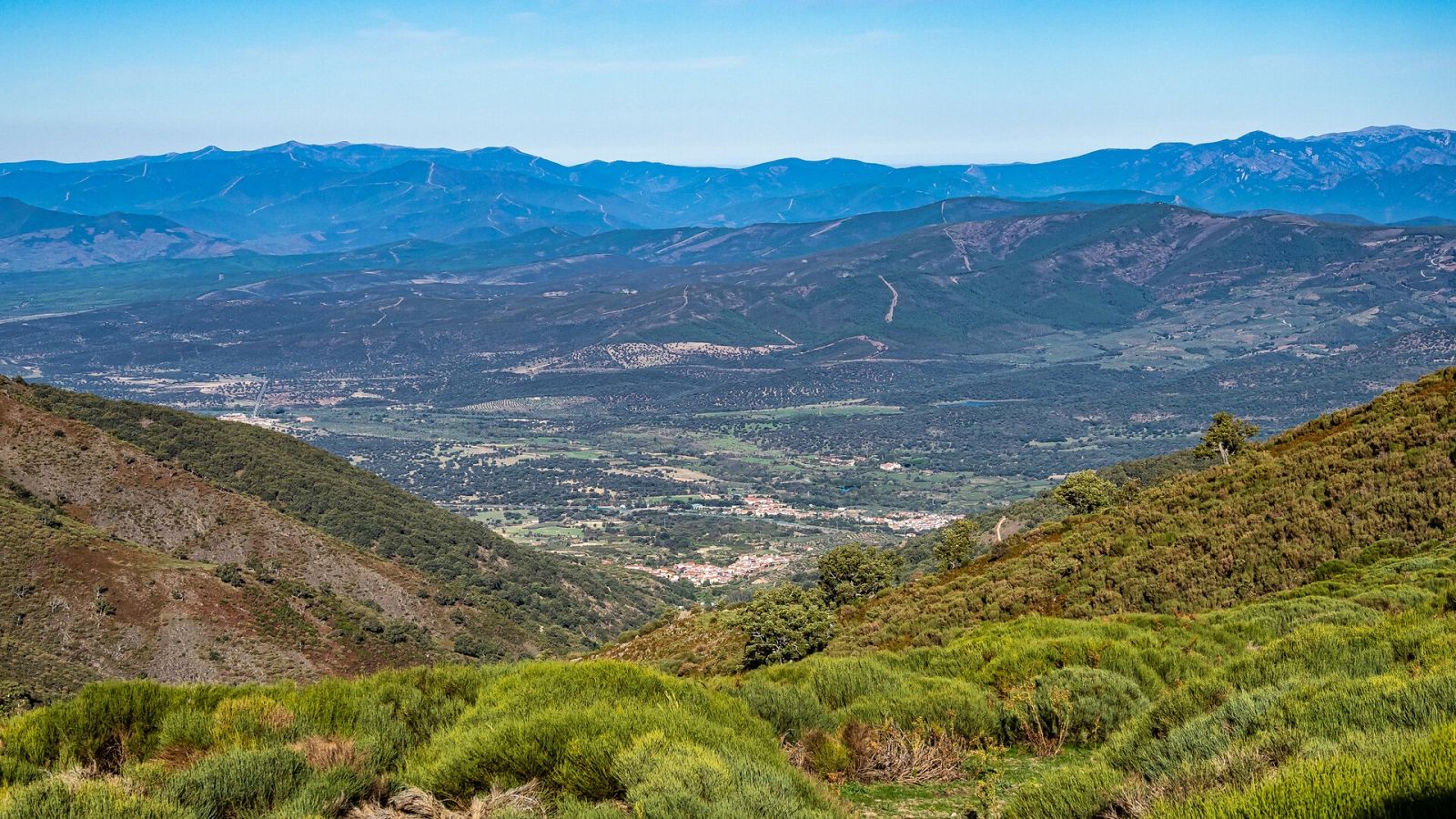 El gallo que no cesa - Tierra sin límites: El valle del Ambroz, en Cáceres - Escuchar ahora