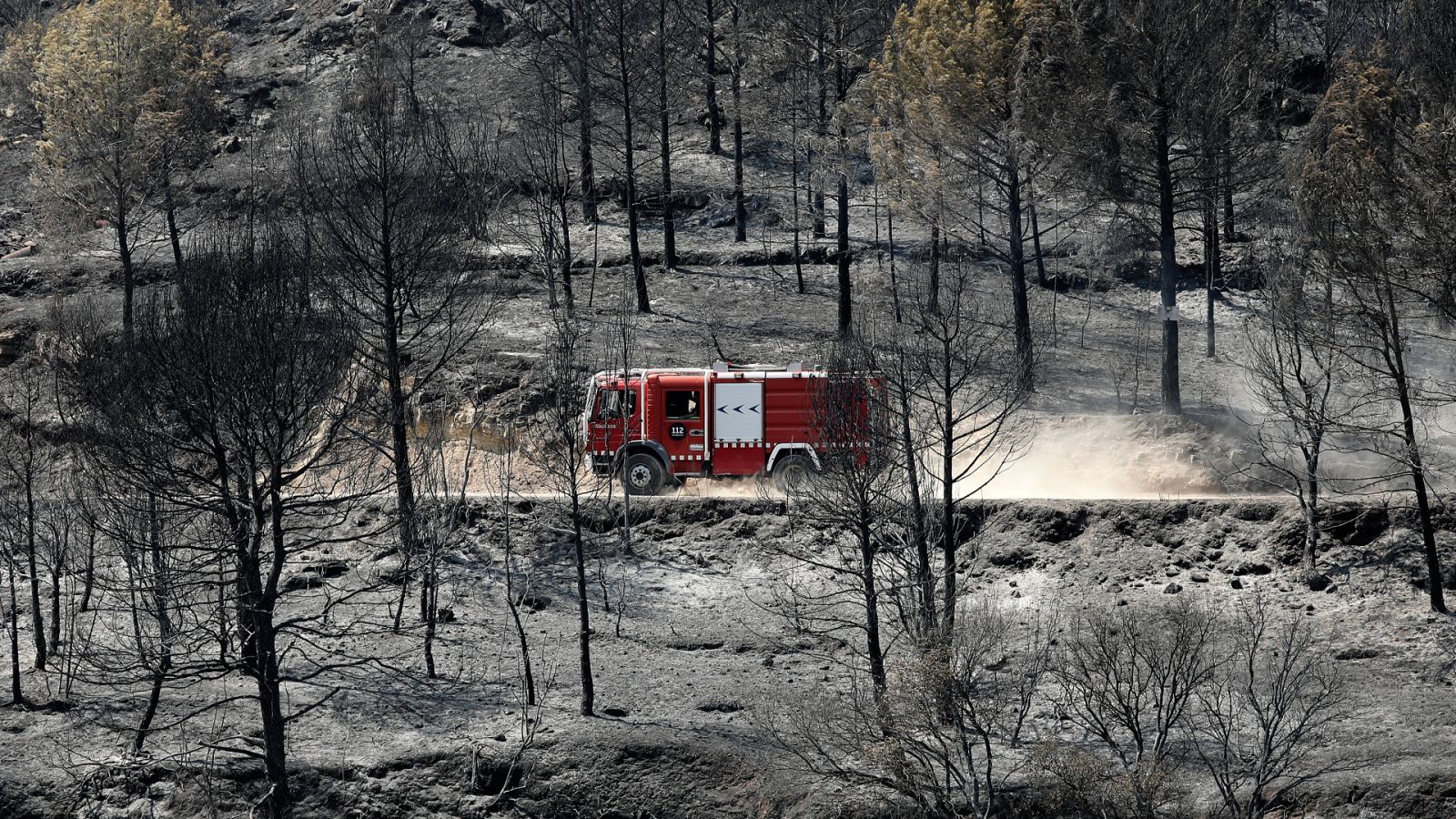14 horas - Bombero forestal: "Existe la urgente necesidad de que se apruebe el estatuto básico del bombero forestal" - Escuchar ahora