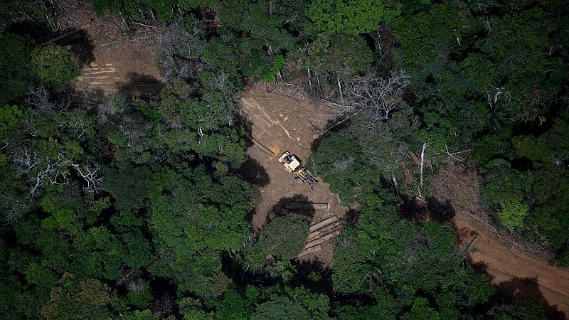 Cinco Continentes - Ecocidio en El Cerrado, Brasil - Escuchar ahora