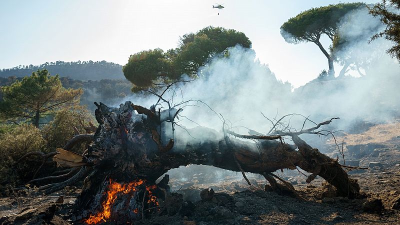 Las Mañanas de RNE - Alcalde de Hoyo de Pinares, Ávila: "Hay que estar unidos, no es momento de buscar culpables" - Escuchar ahora