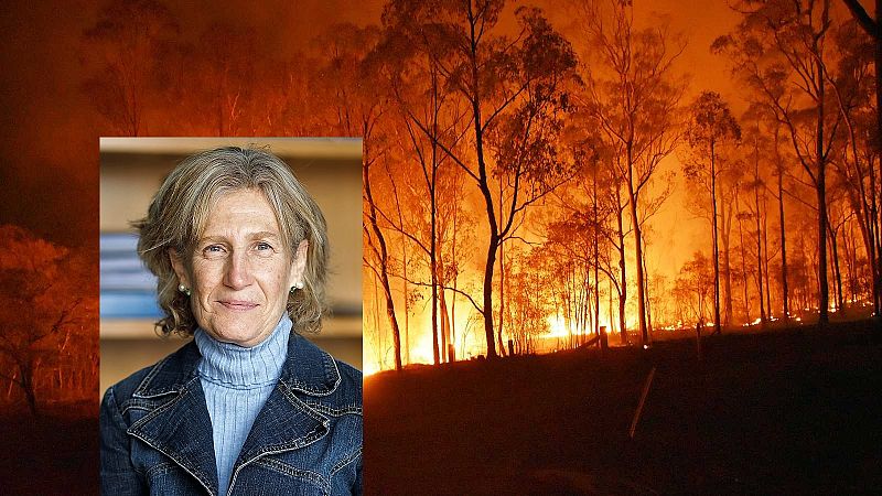 ¿Por qué los incendios forestales son más numerosos y peores? - Escuchar ahora