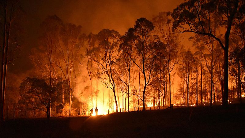 Más cerca - Los incendios ya han quemado más de 215.000 hectáreas - Escuchar ahora