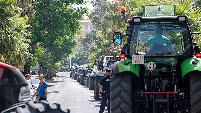 Las Mañanas de RNE - Lorenzo Ramos (UPA): "Creemos que hay mucha especulación por parte de las petroleras" - Escuchar ahora