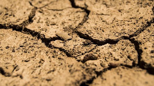 Tarde lo que tarde - Tarde lo que tarde - Una sequía inminente causada por el cambio climático - 28/07/22 - escuchar ahora