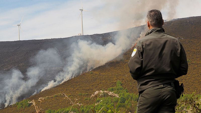 24 horas fin de semana - Los agentes forestales, los ojos de nuestros bosques - Escuchar ahora