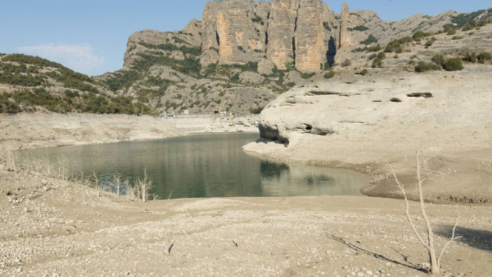 24 horas - El verano bate récords de sequía: "La normalidad va a ser esta a partir de ahora" - Escuchar ahora