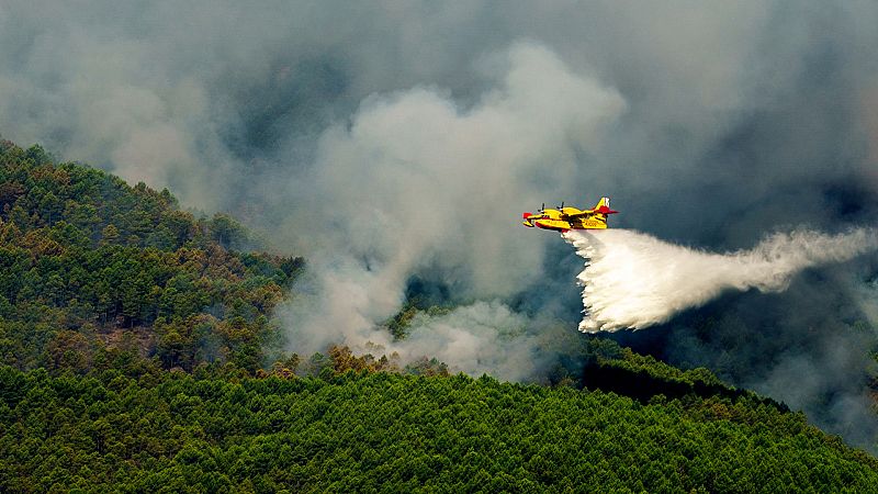 14 horas - Balance de incendios en España: Las hectáreas quemadas este año triplican las de 2021 - Escuchar ahora