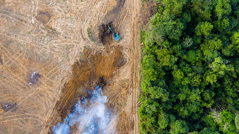 Las mañanas de RNE con Íñigo Alfonso - Valladares: "Hemos hecho avances, pero lo que ha avanzado es el cambio climático" - Escuchar ahora